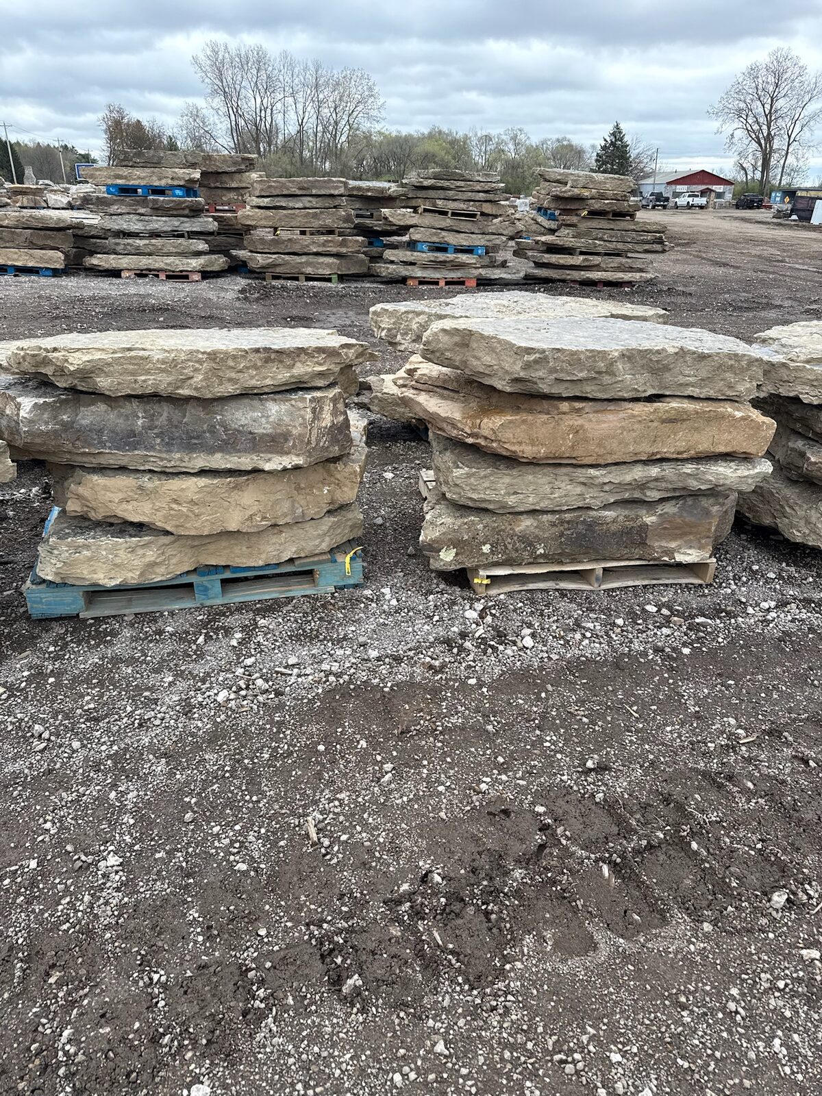 Bluffton Rock