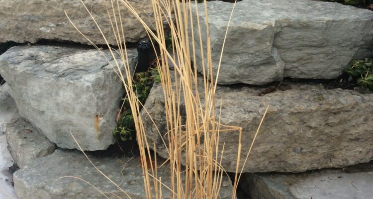 Bluffton Outcropping (1)